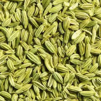 Whole Fennel