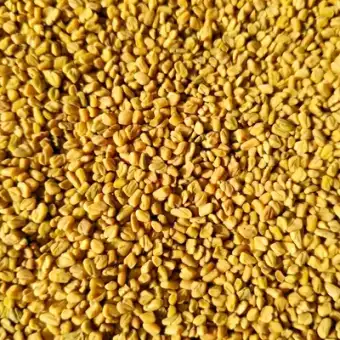 Whole Fenugreek
